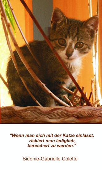 7700_Kirchheim_Ayasha.jpg
