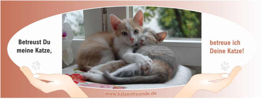 Unser Prinzip: Betreust Du meine Katze, betreue ich Deine Katze